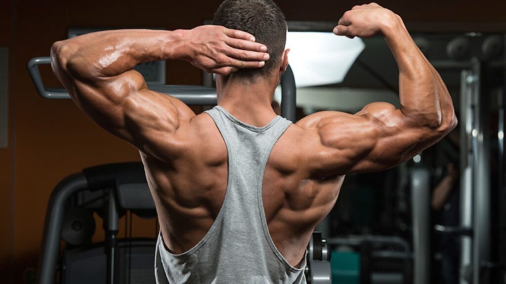 Advanced Workout Routines to Build Muscle
